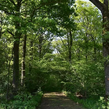 Jachthuis Au Bois Du 펜션 Gheer