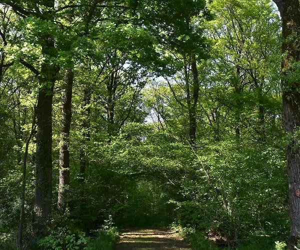 Jachthuis Au Bois Du Hébergement de vacances Gheer